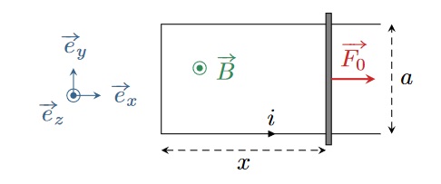 image info