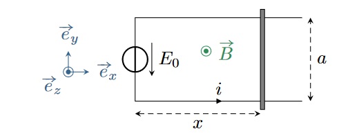 image info